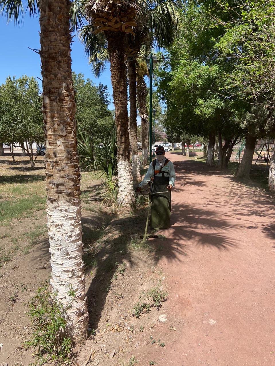 03-MANTENIMIENTO A PARQUES MUNICIPALES ES PERMANENTE EN LERDO-070720
