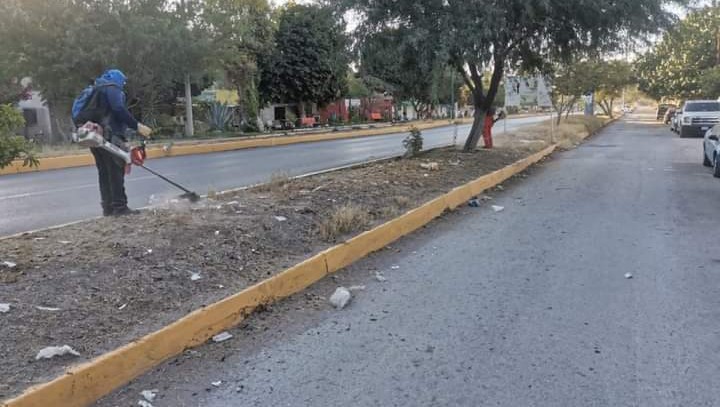 02-PARQUES Y JARDINES ATIENDE VIALIDADES -021220