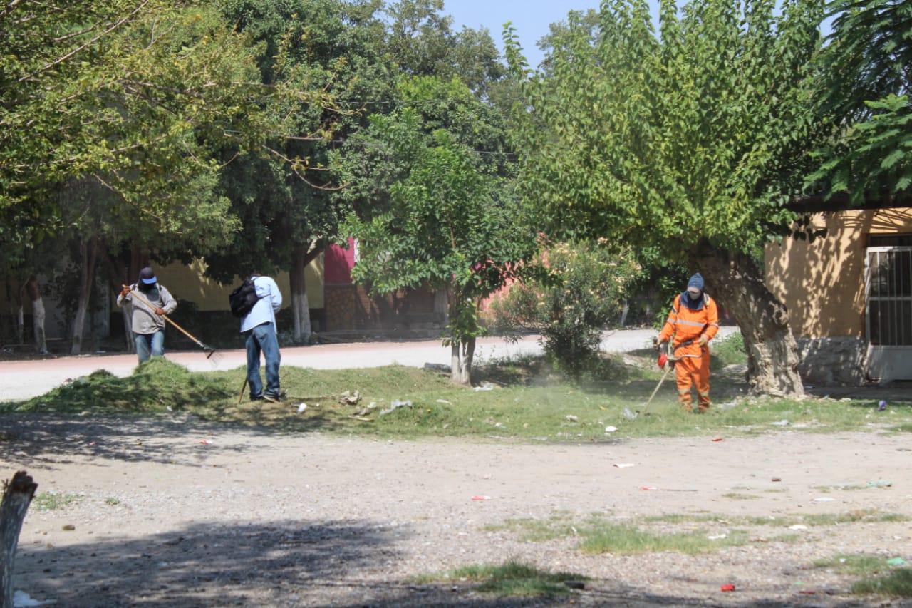 01-PARQUES Y JARDINES TRABAJA DIARIAMENTE EN DAR MANTENIMIENTO A LA CIUDAD-060121