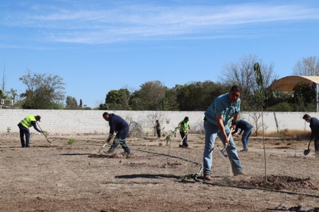 02-ARRANCA REFORESTACIÓN EN EL PARQUE VIVERO LAS AURAS-03012022